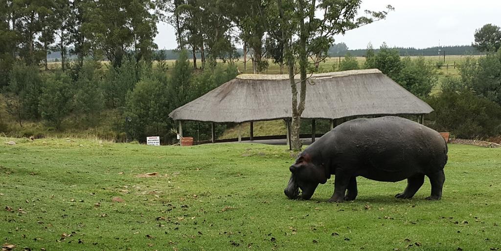 Plettenberg Bay Game Reserve: The Baroness Safari Lodge Extérieur photo